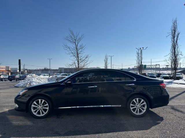 used 2010 Lexus ES 350 car