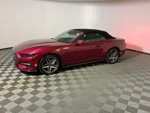 new 2026 Ford Mustang car, priced at $48,218