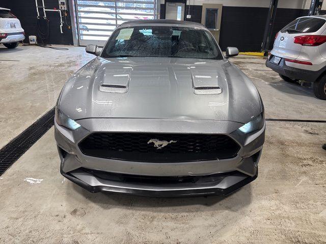 used 2023 Ford Mustang car, priced at $19,747