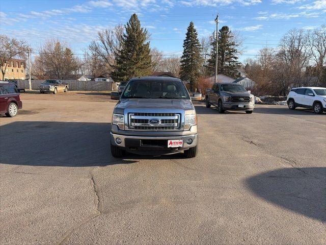 used 2014 Ford F-150 car