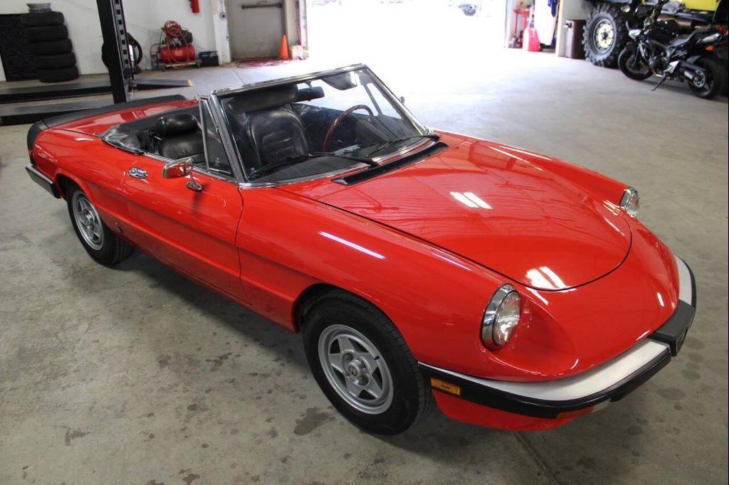 used 1985 Alfa Romeo Spider car, priced at $16,900
