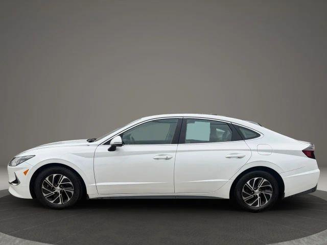 used 2022 Hyundai Sonata Hybrid car, priced at $13,999