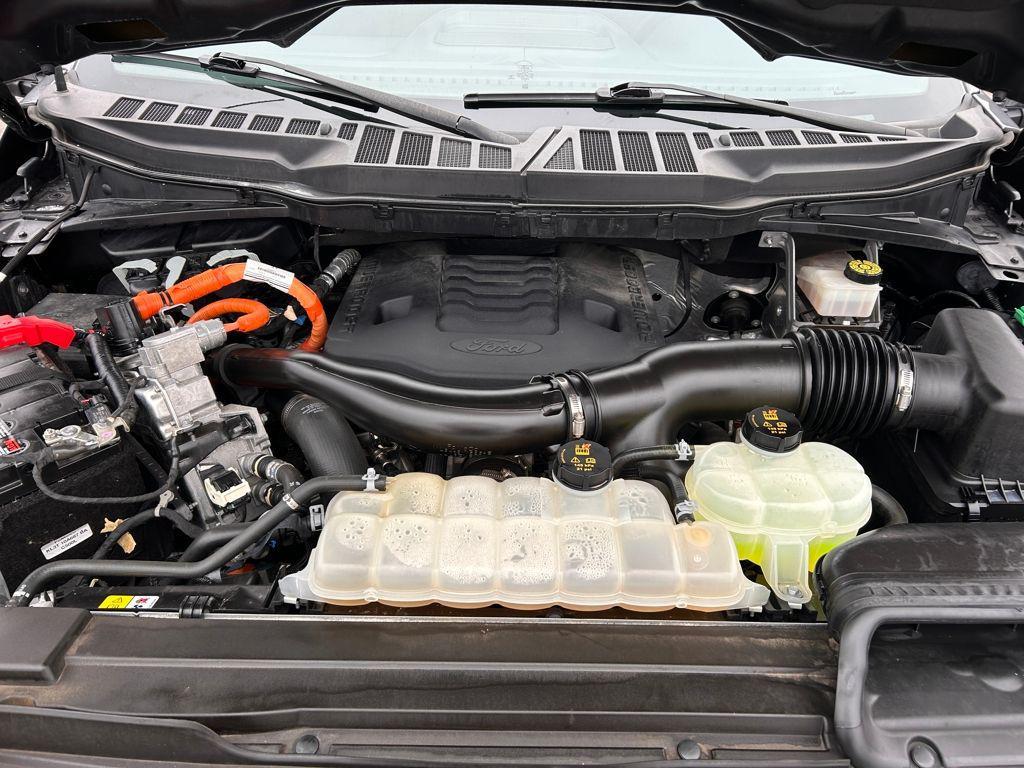 used 2023 Ford F-150 car, priced at $36,500
