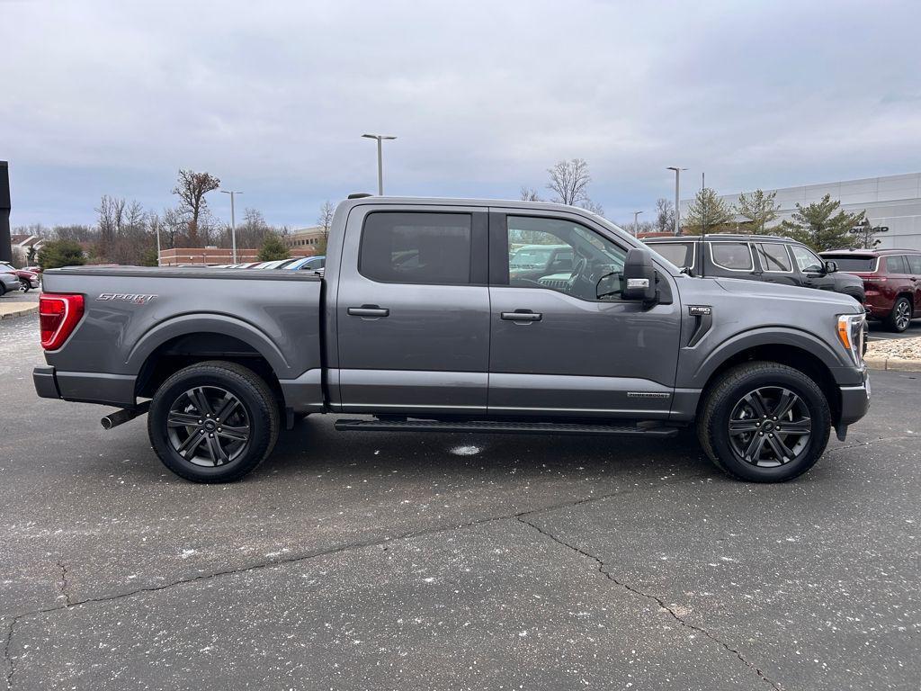 used 2023 Ford F-150 car, priced at $36,500