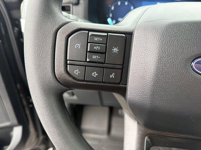 new 2025 Ford F-150 car, priced at $46,234