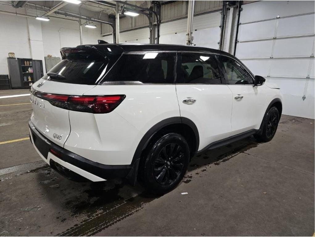 used 2024 INFINITI QX60 car, priced at $37,920