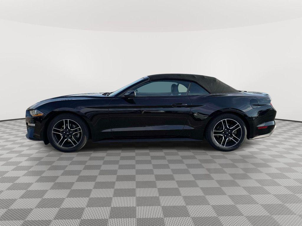used 2022 Ford Mustang car, priced at $25,834