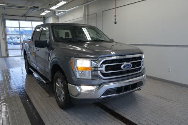 used 2023 Ford F-150 car, priced at $38,037