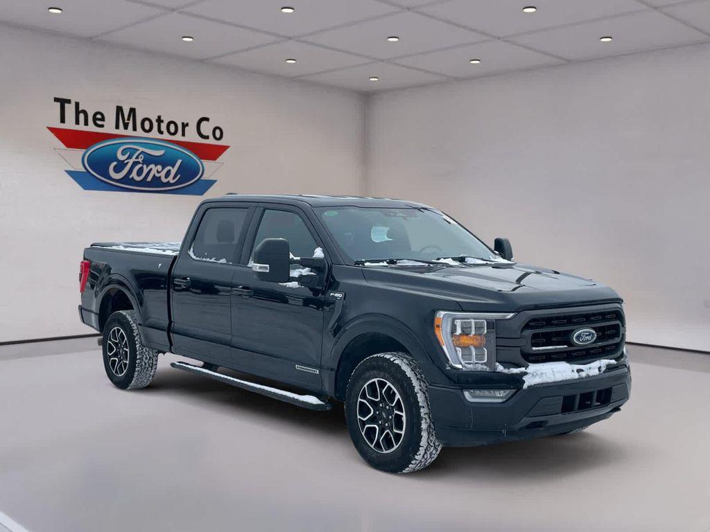 used 2023 Ford F-150 car, priced at $41,879