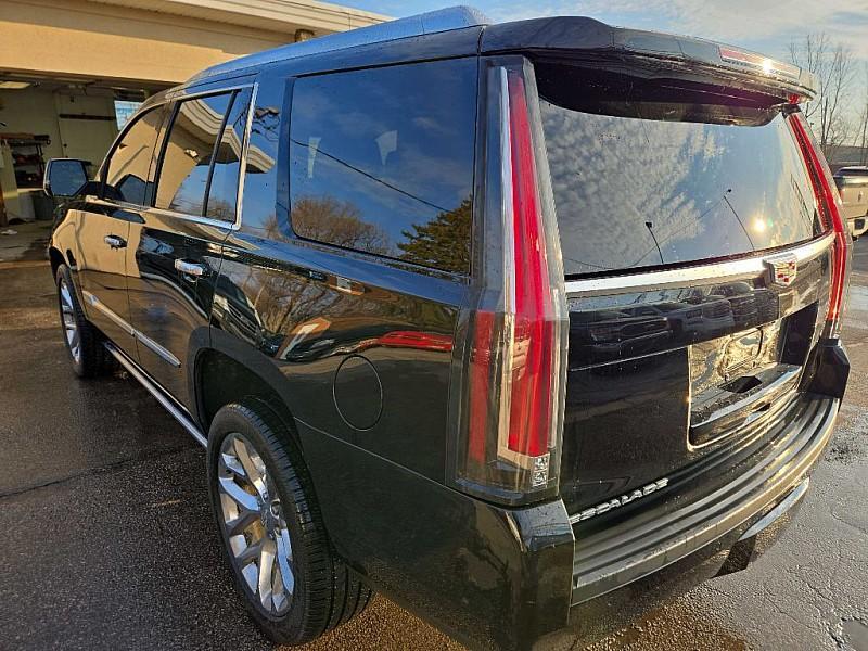 used 2017 Cadillac Escalade car, priced at $27,999