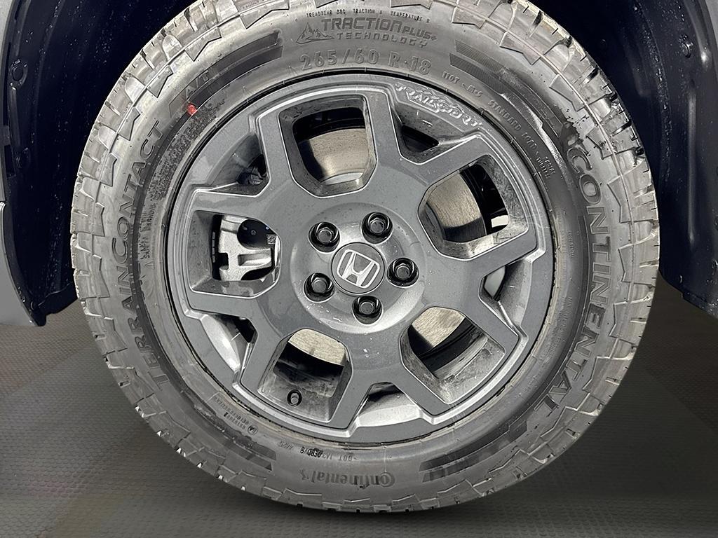 new 2025 Honda Pilot car, priced at $51,305