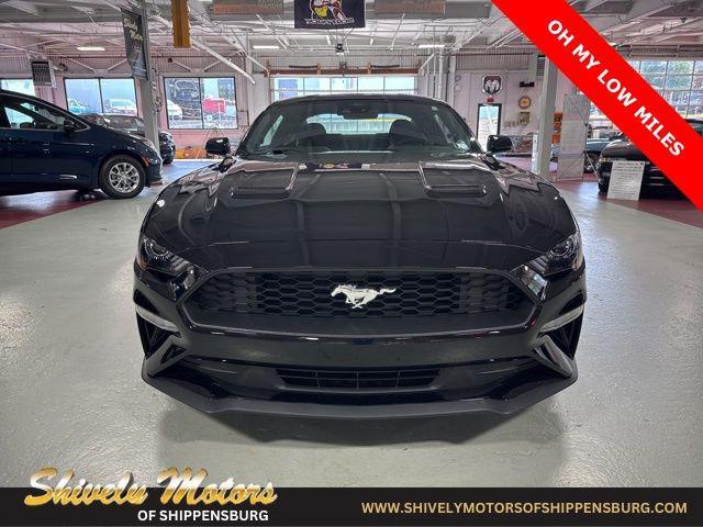 used 2022 Ford Mustang car, priced at $25,200