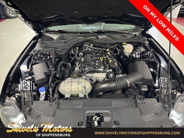 used 2022 Ford Mustang car, priced at $25,200
