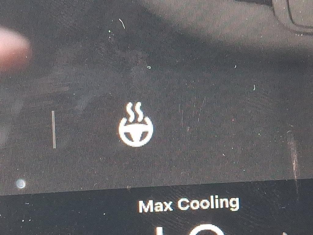 Tesla Model Y view 24