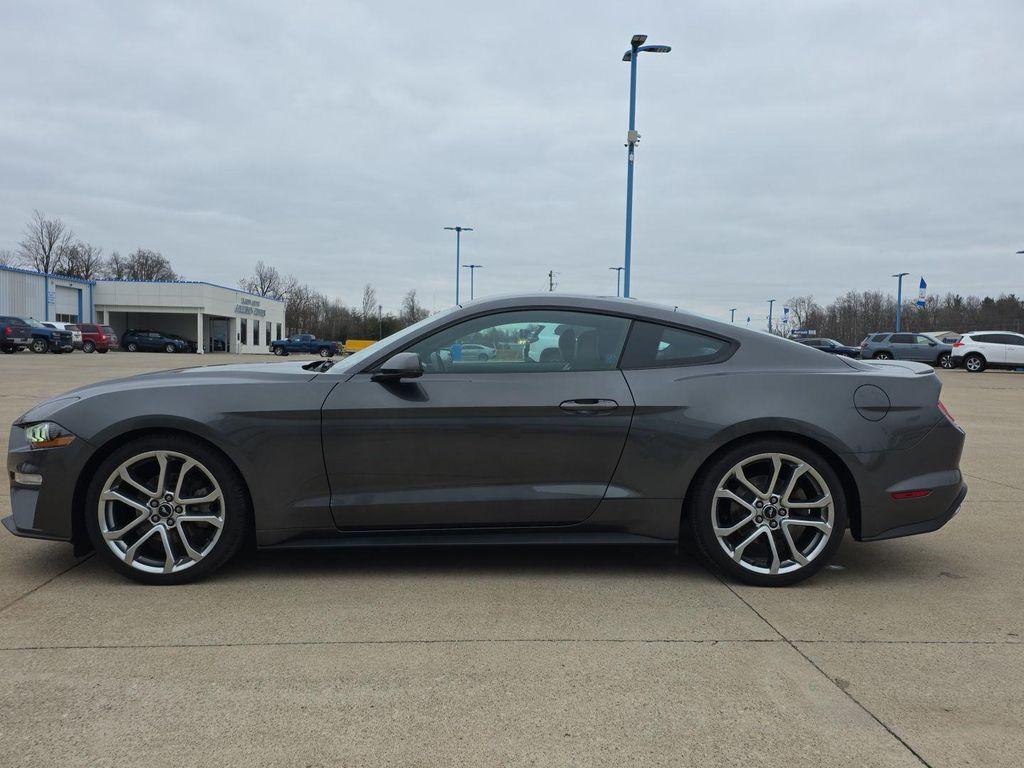 used 2019 Ford Mustang car, priced at $19,900
