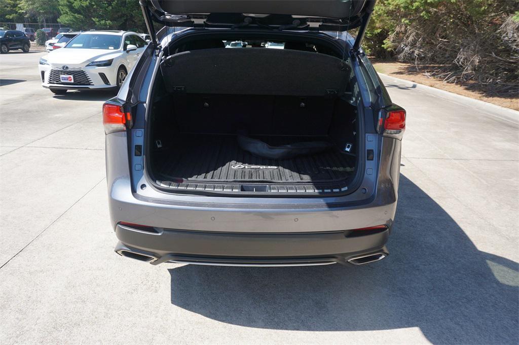 2020 Nebula Gray Pearl Lexus NX 300
