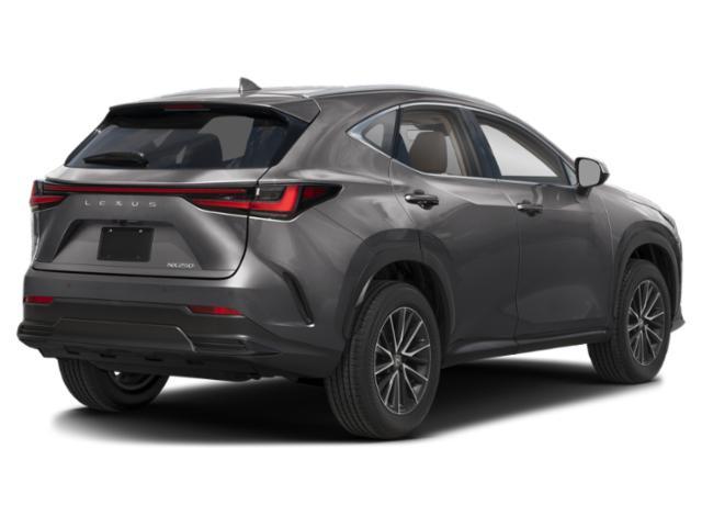 used 2025 Lexus NX 250 car, priced at $45,549