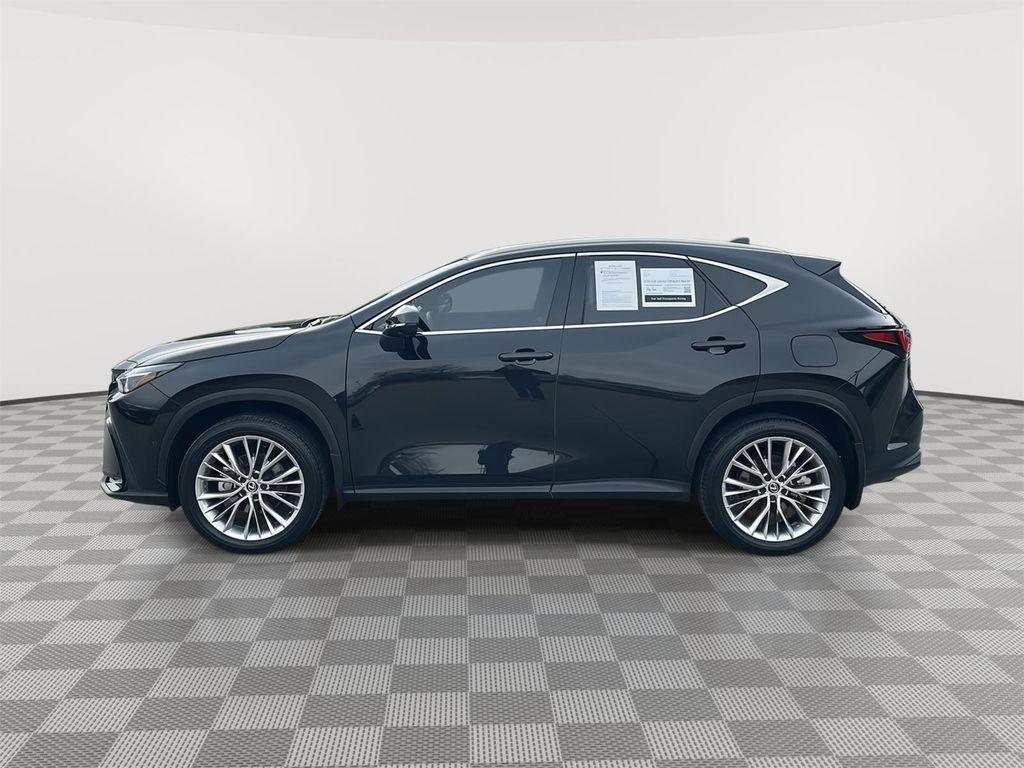 used 2025 Lexus NX 350 car, priced at $49,000