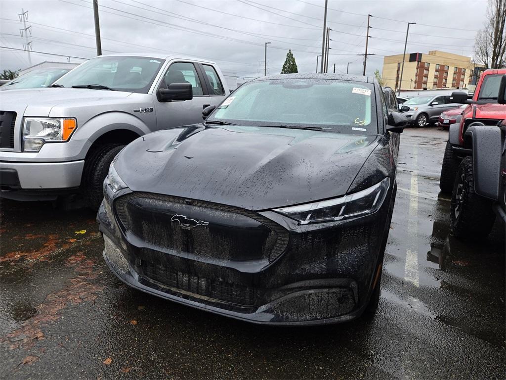 used 2025 Ford Mustang Mach-E car