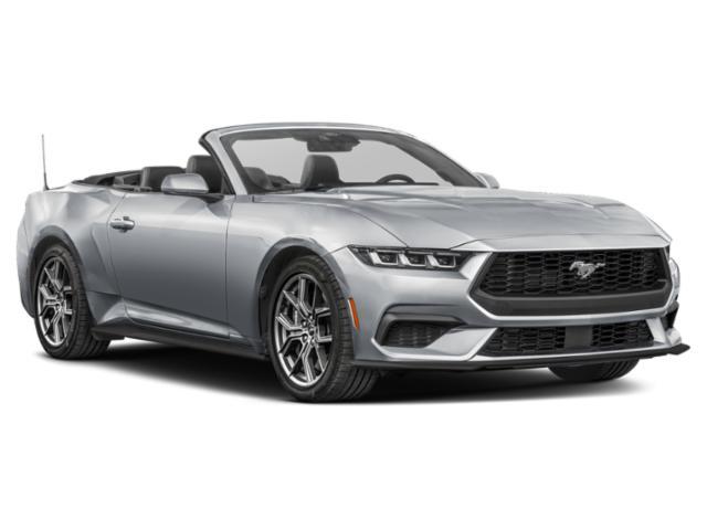 used 2025 Ford Mustang car
