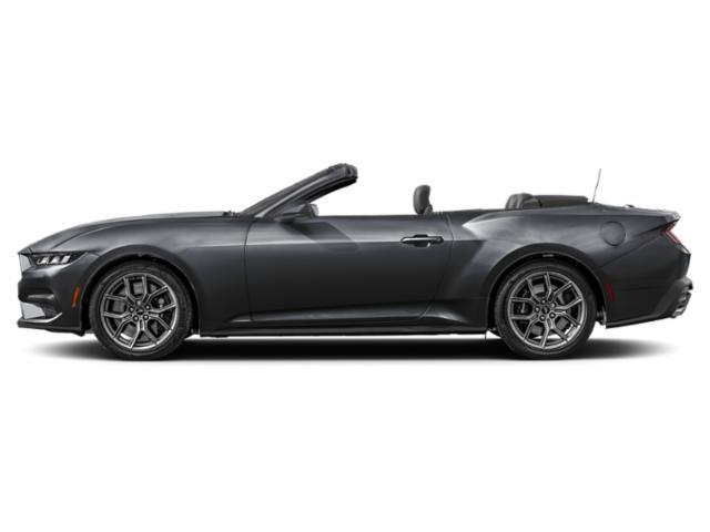 used 2025 Ford Mustang car