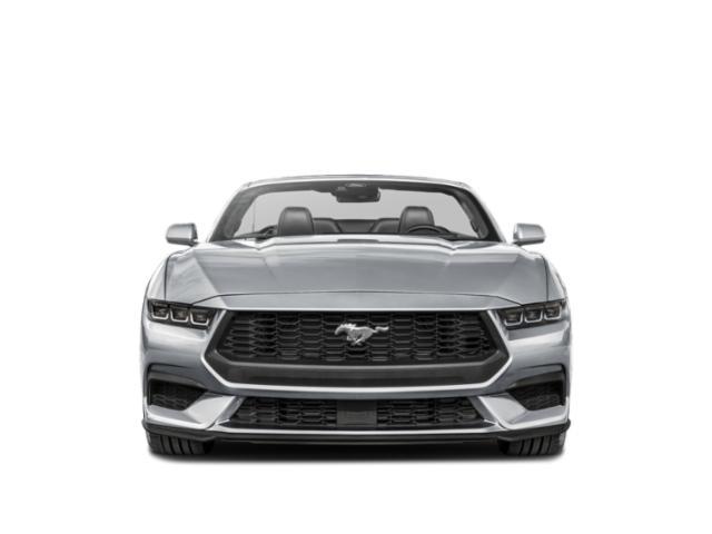 used 2025 Ford Mustang car