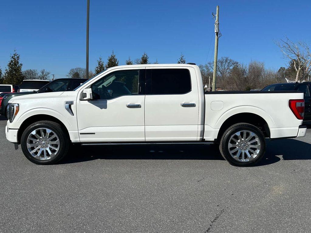 used 2023 Ford F-150 car, priced at $55,999
