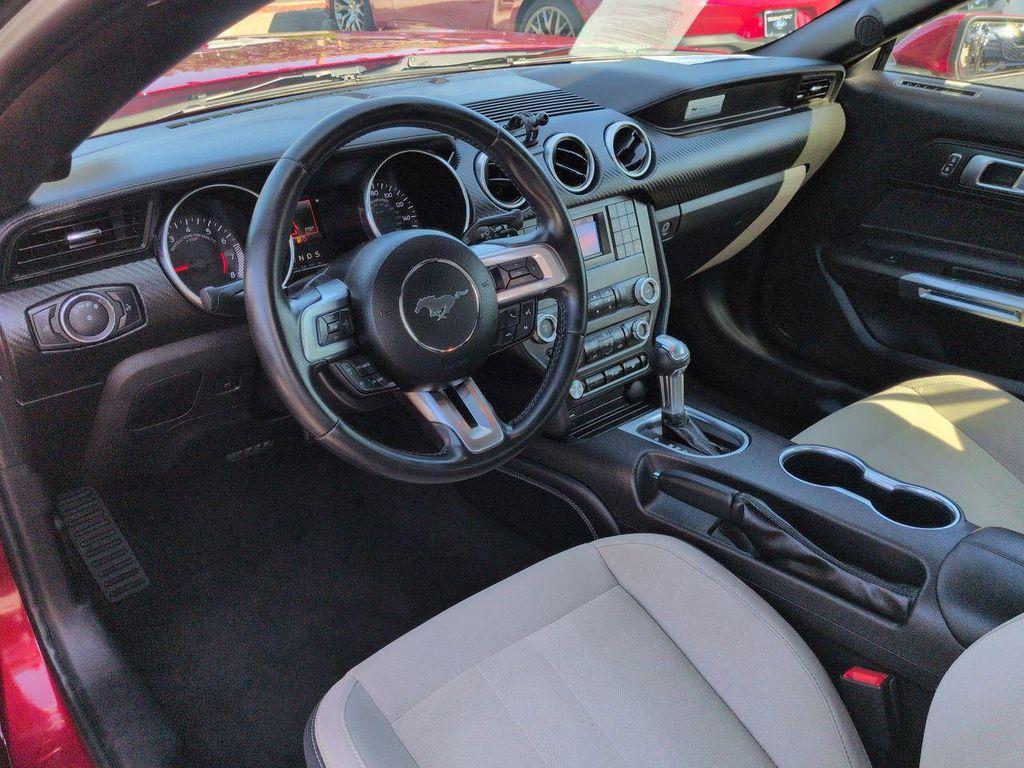 used 2019 Ford Mustang car, priced at $22,023
