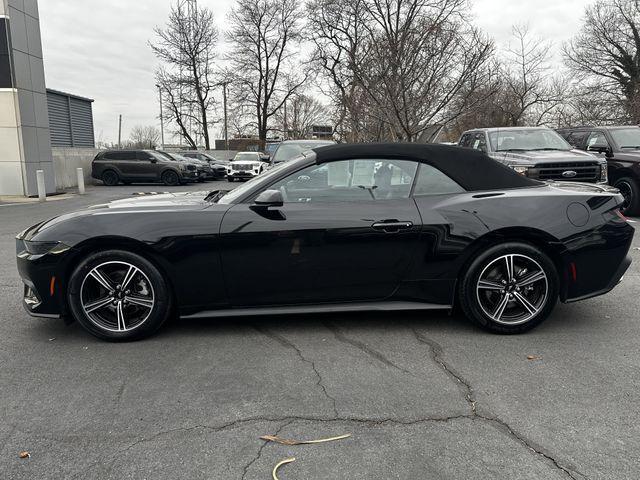 used 2025 Ford Mustang car, priced at $35,000