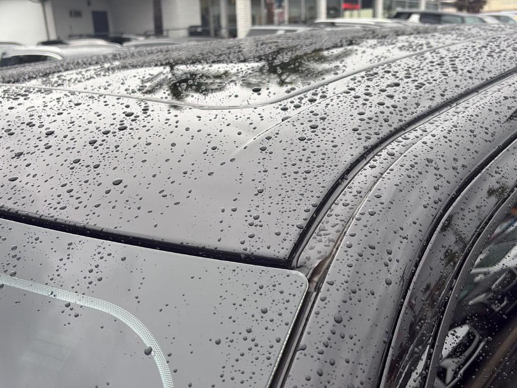 used 2024 Ford F-150 car, priced at $119,980