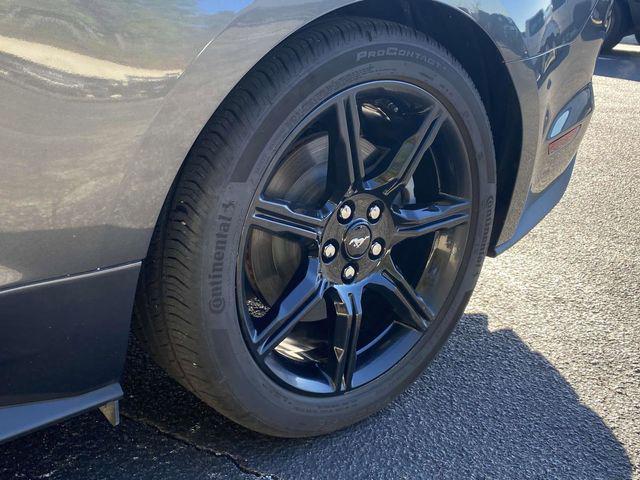 used 2019 Ford Mustang car, priced at $30,558