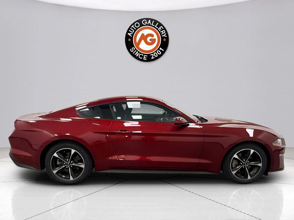 used 2019 Ford Mustang car, priced at $15,188