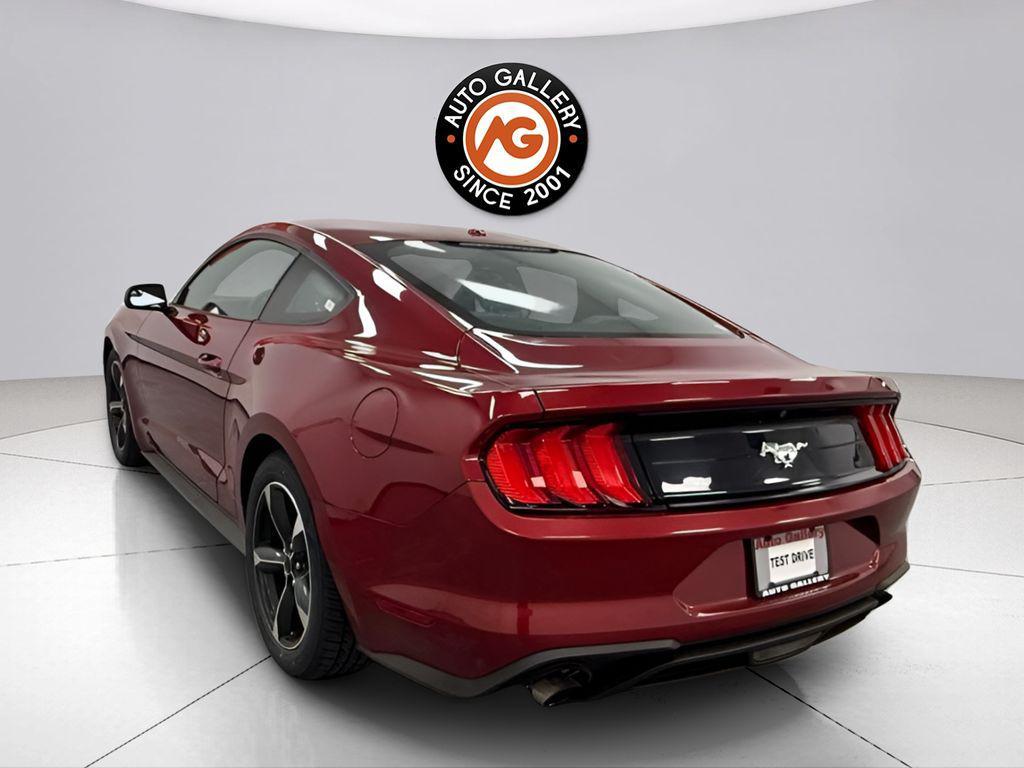 used 2019 Ford Mustang car, priced at $15,188