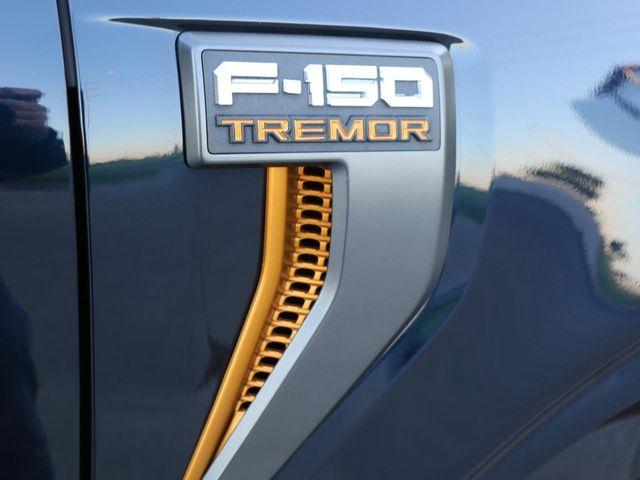 used 2025 Ford F-150 car, priced at $63,745