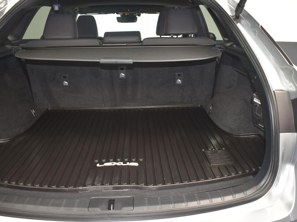 2023 Iridium Lexus RX 350