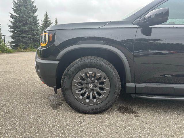 new 2026 Honda Passport car, priced at $48,844