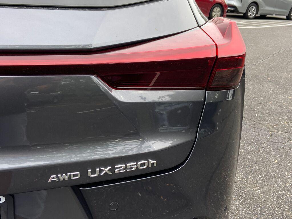 2024 Gray Lexus UX 250h