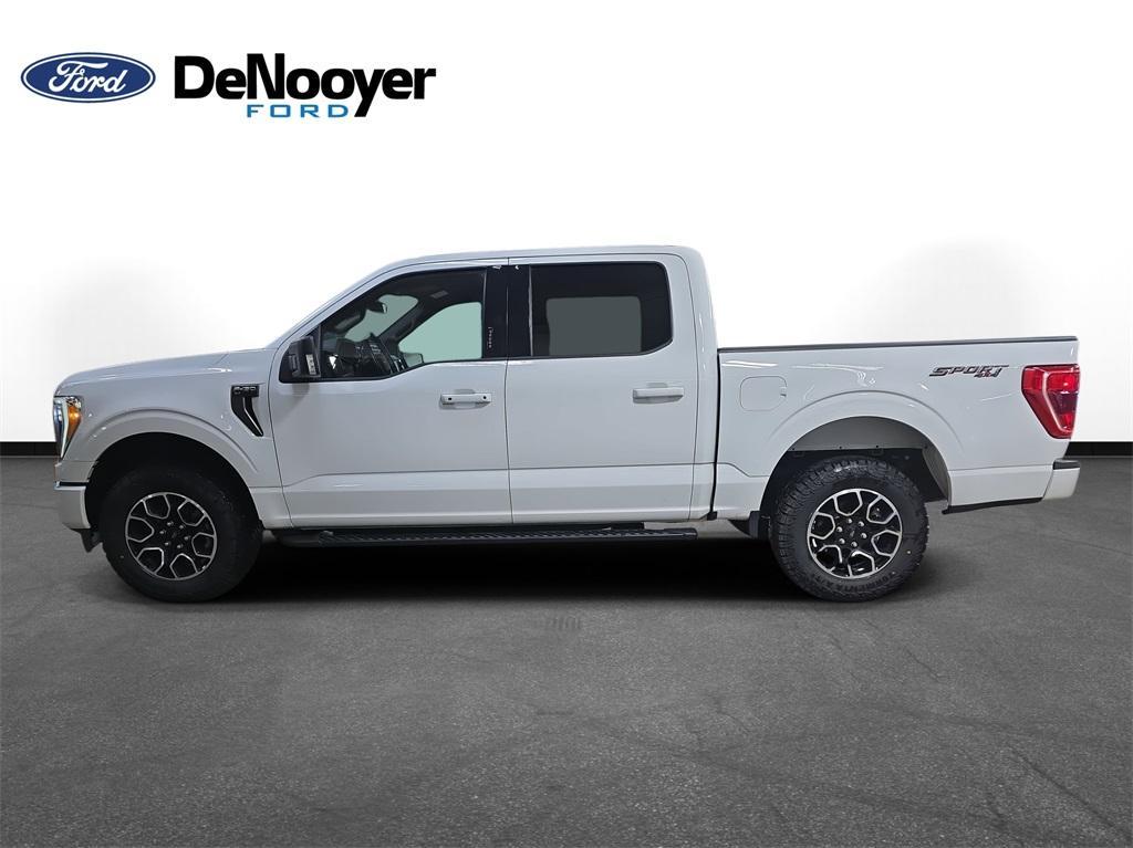 used 2023 Ford F-150 car, priced at $40,500