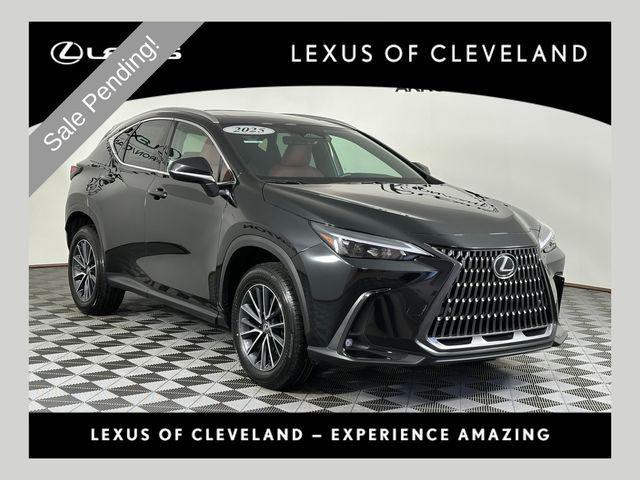used 2025 Lexus NX 350 car