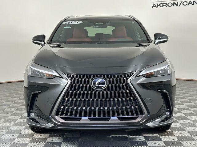 used 2025 Lexus NX 350 car
