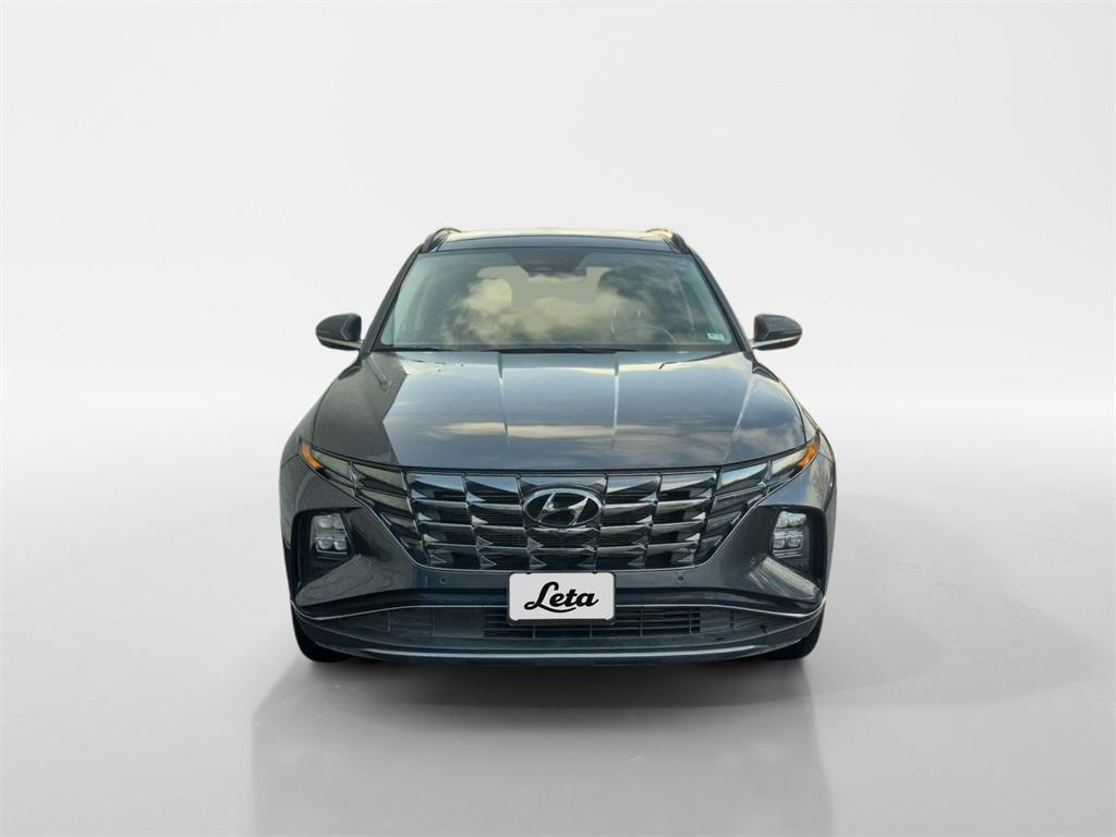 used 2024 Hyundai Tucson car, priced at $22,337