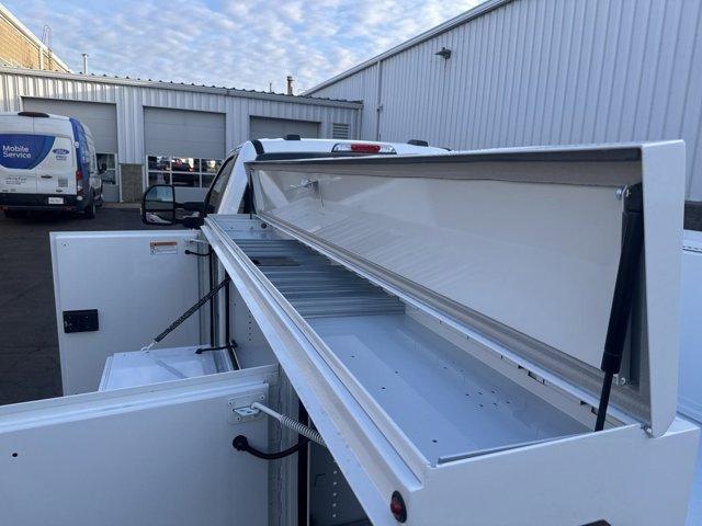 new 2025 Ford F-250 car, priced at $68,312