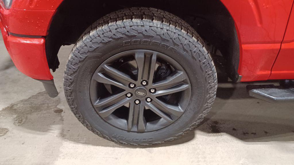 used 2021 Ford F-150 car