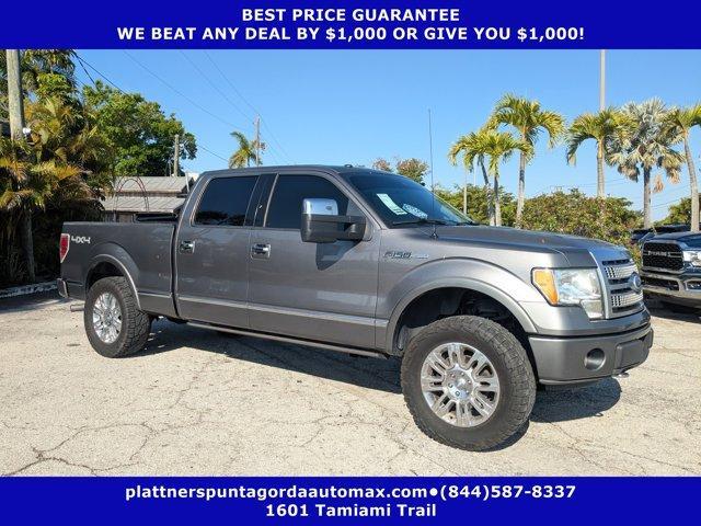 used 2010 Ford F-150 car