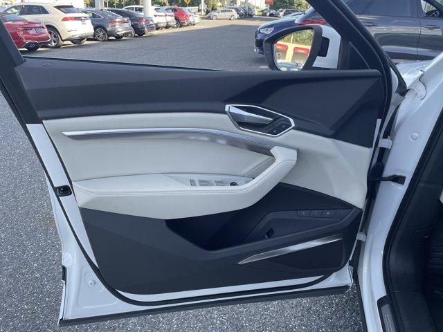 Audi Q8 e-tron view 20