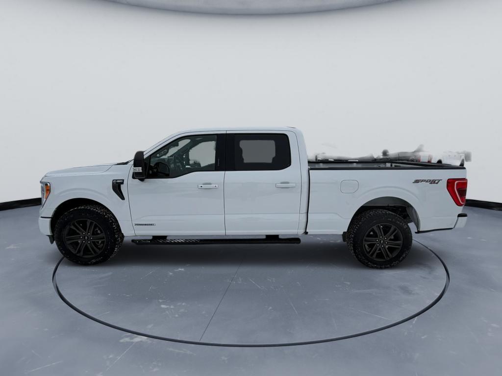 used 2021 Ford F-150 car, priced at $38,999