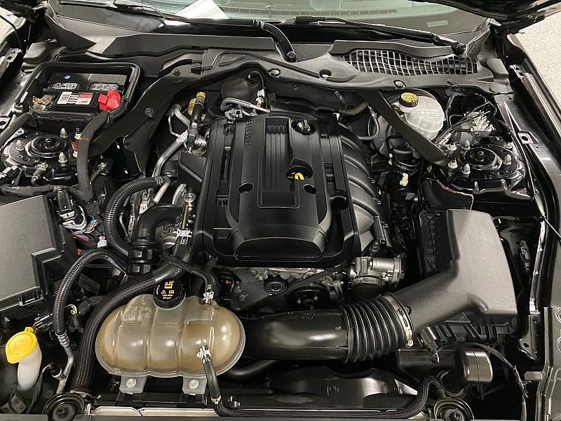 used 2019 Ford Mustang car, priced at $14,491