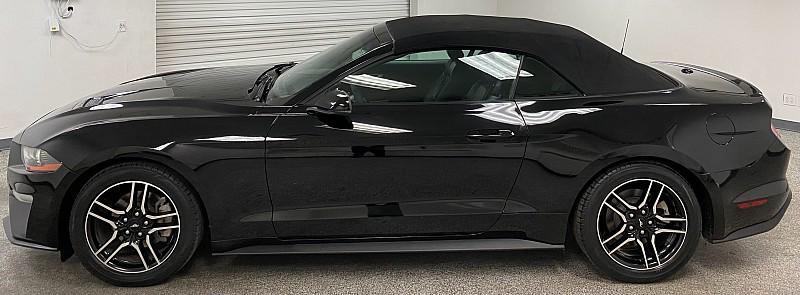 used 2019 Ford Mustang car, priced at $13,891