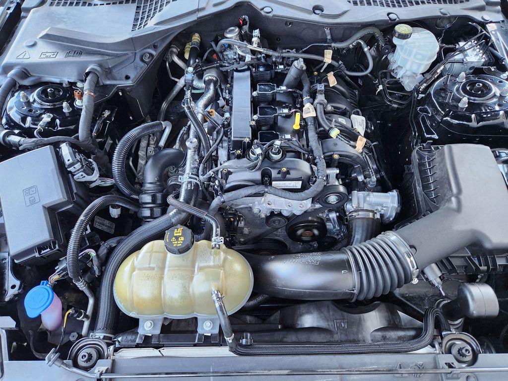 used 2021 Ford Mustang car, priced at $20,000