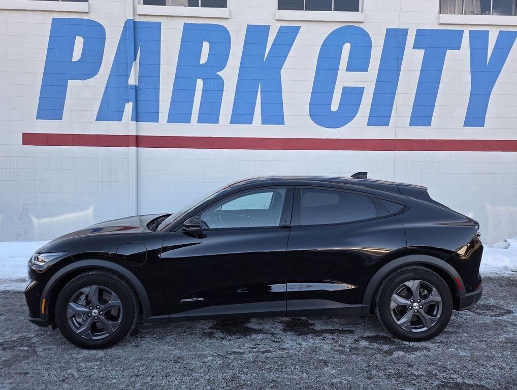 used 2021 Ford Mustang Mach-E car, priced at $23,480